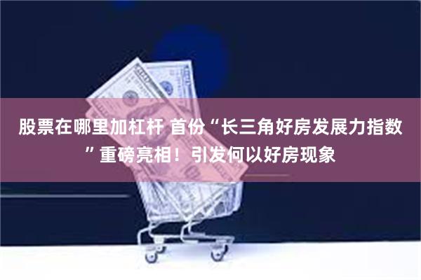 股票在哪里加杠杆 首份“长三角好房发展力指数”重磅亮相！引发何以好房现象